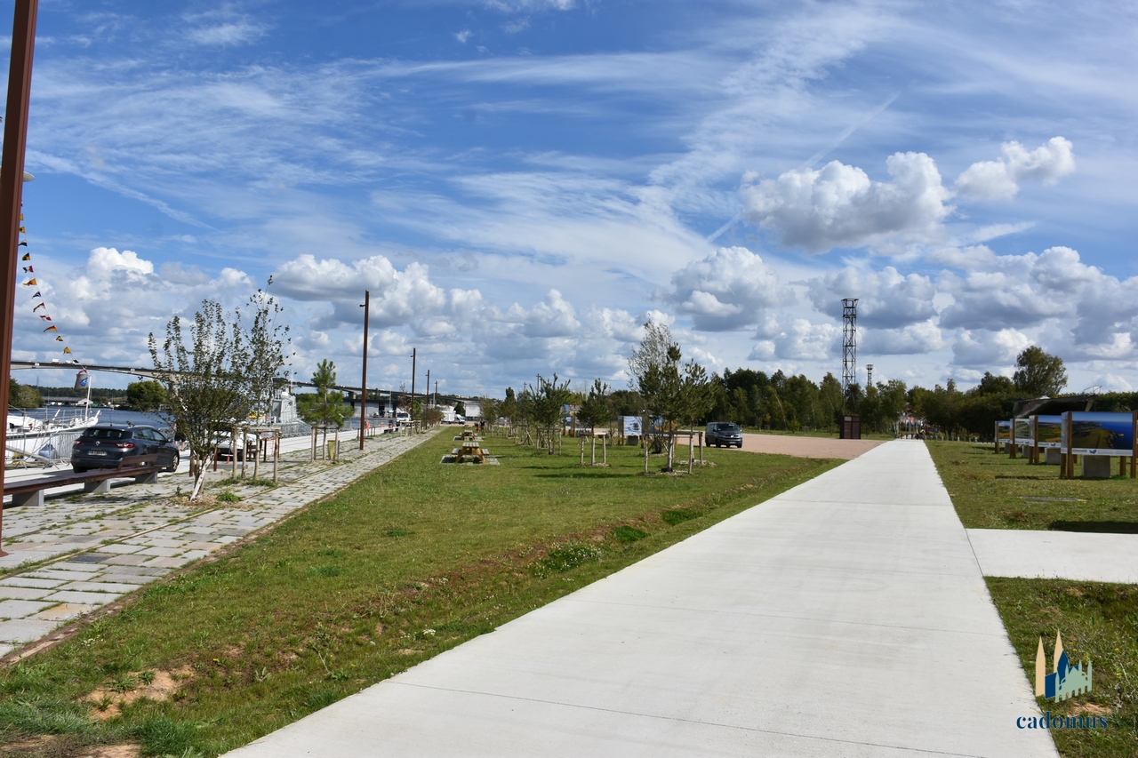 2025-09-09 012.JPG