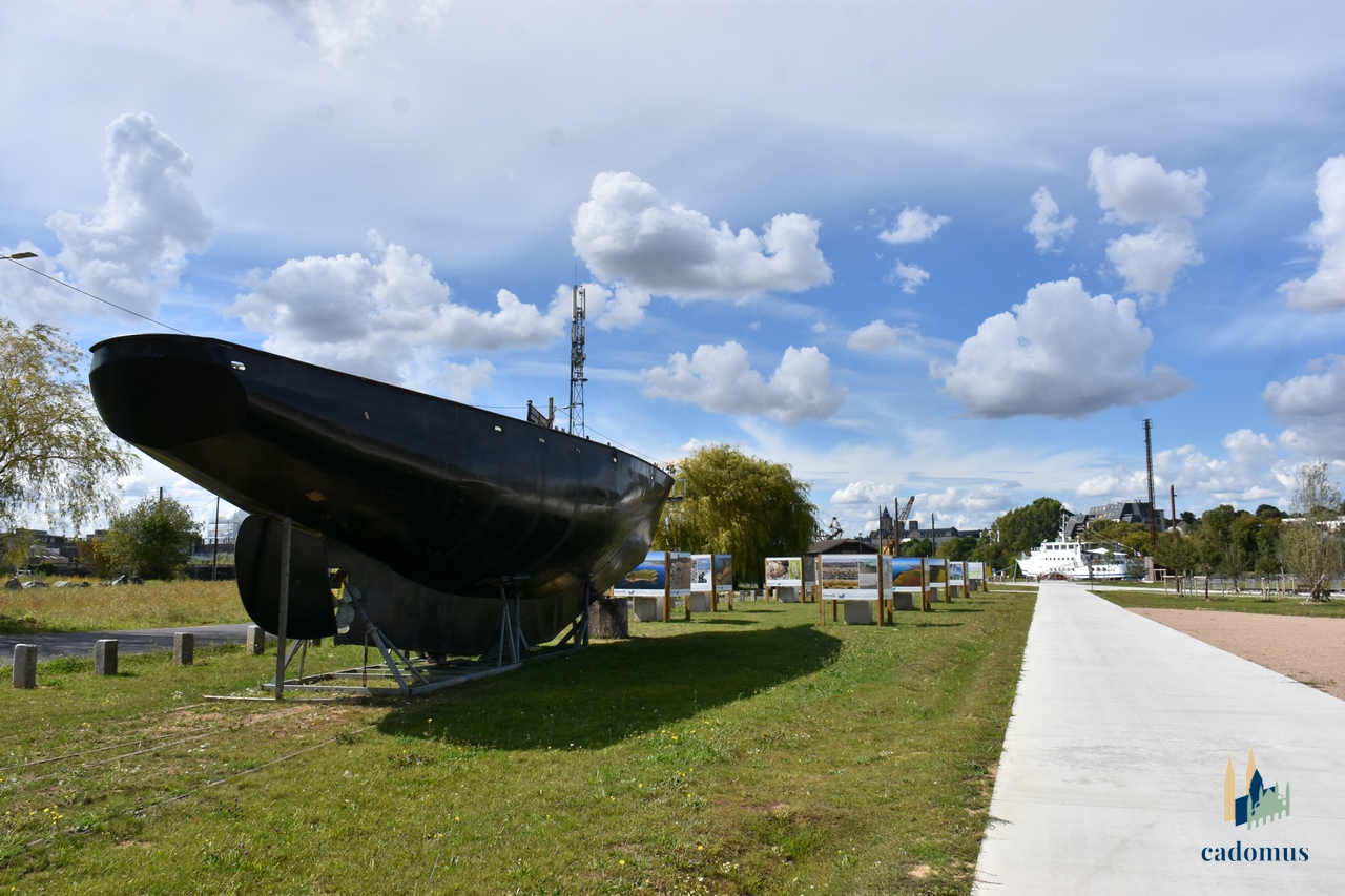 2025-09-09 014.JPG