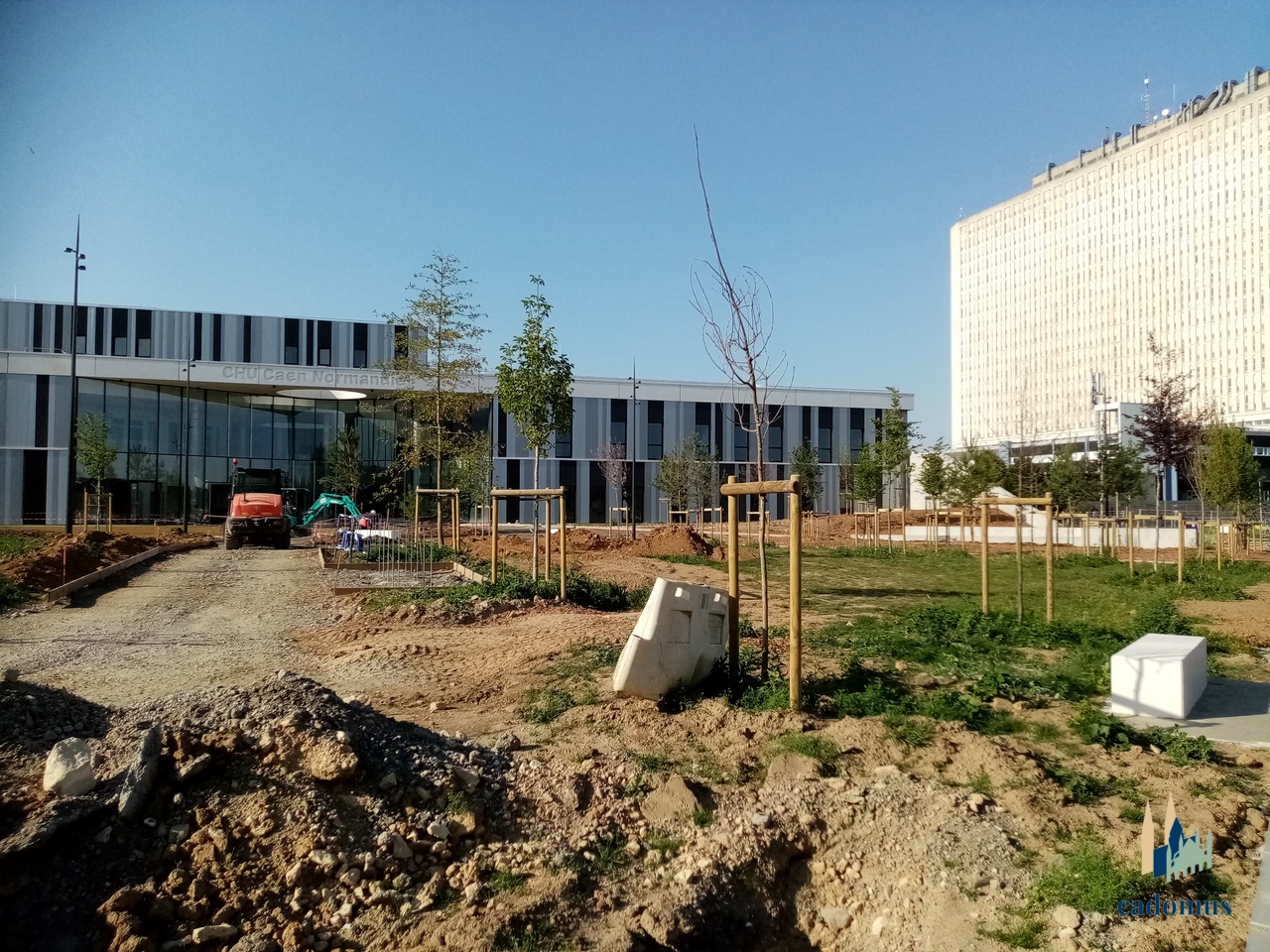 2026-06-19 003.jpg