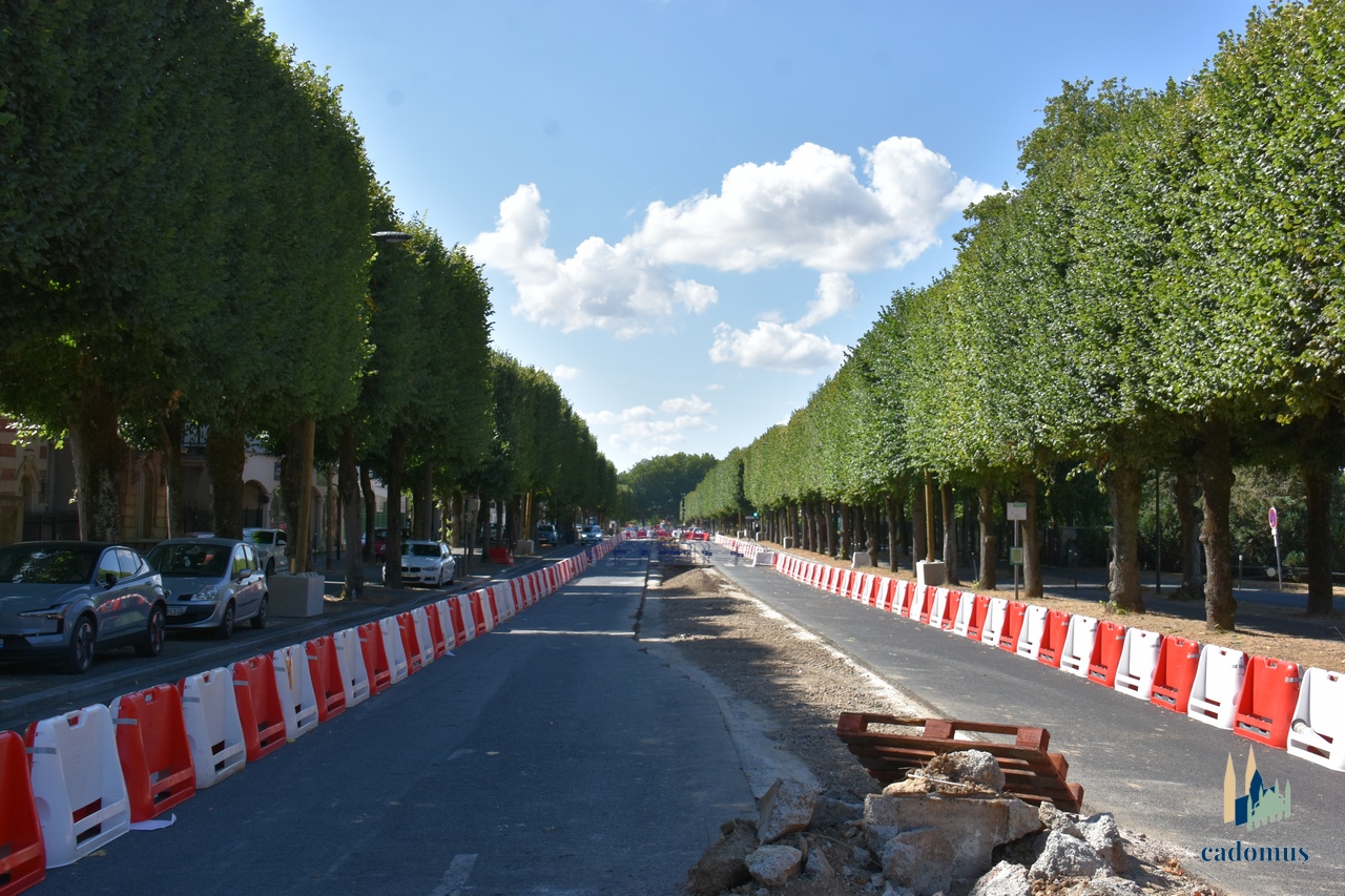 2026-08-01 004.JPG