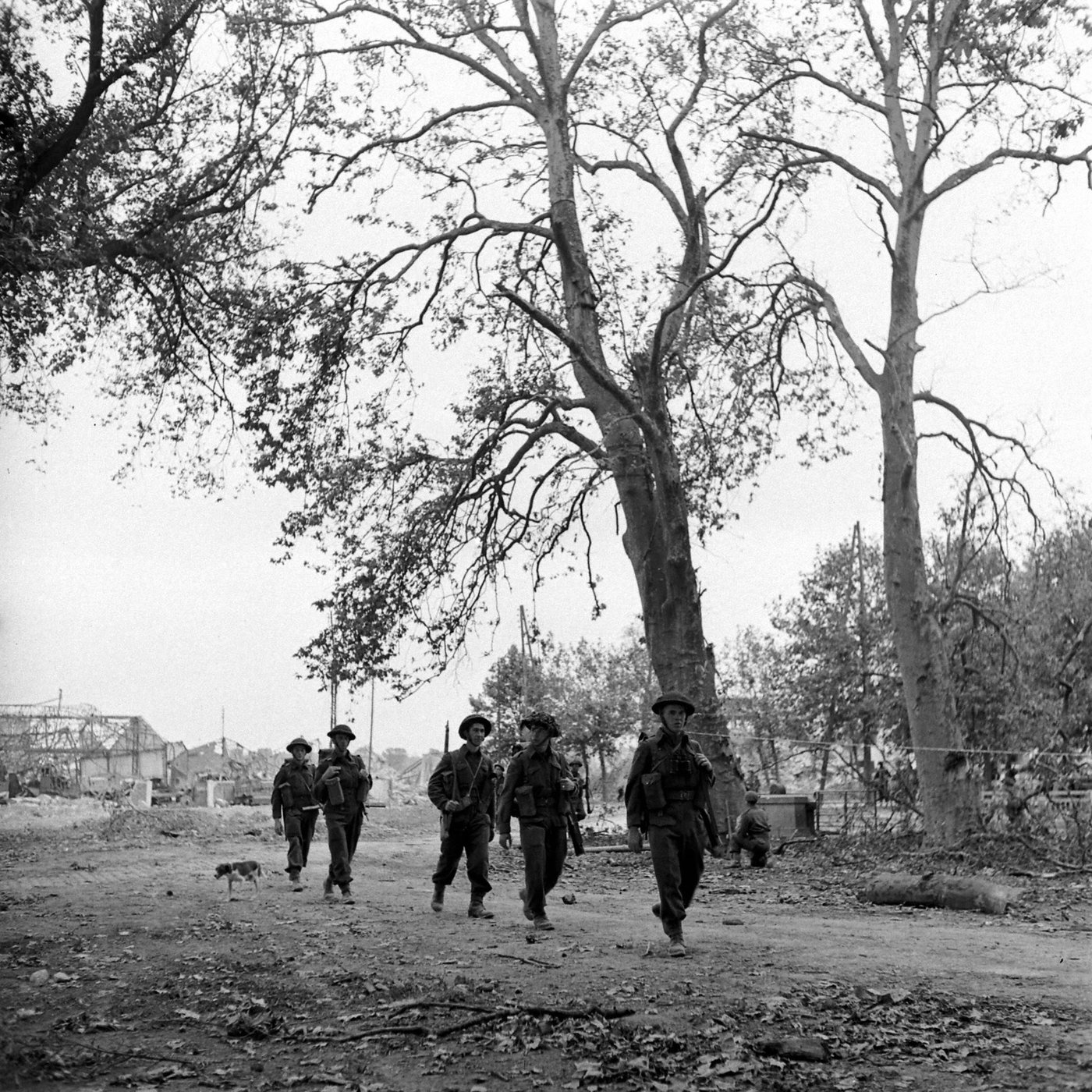 LC001955.jpg