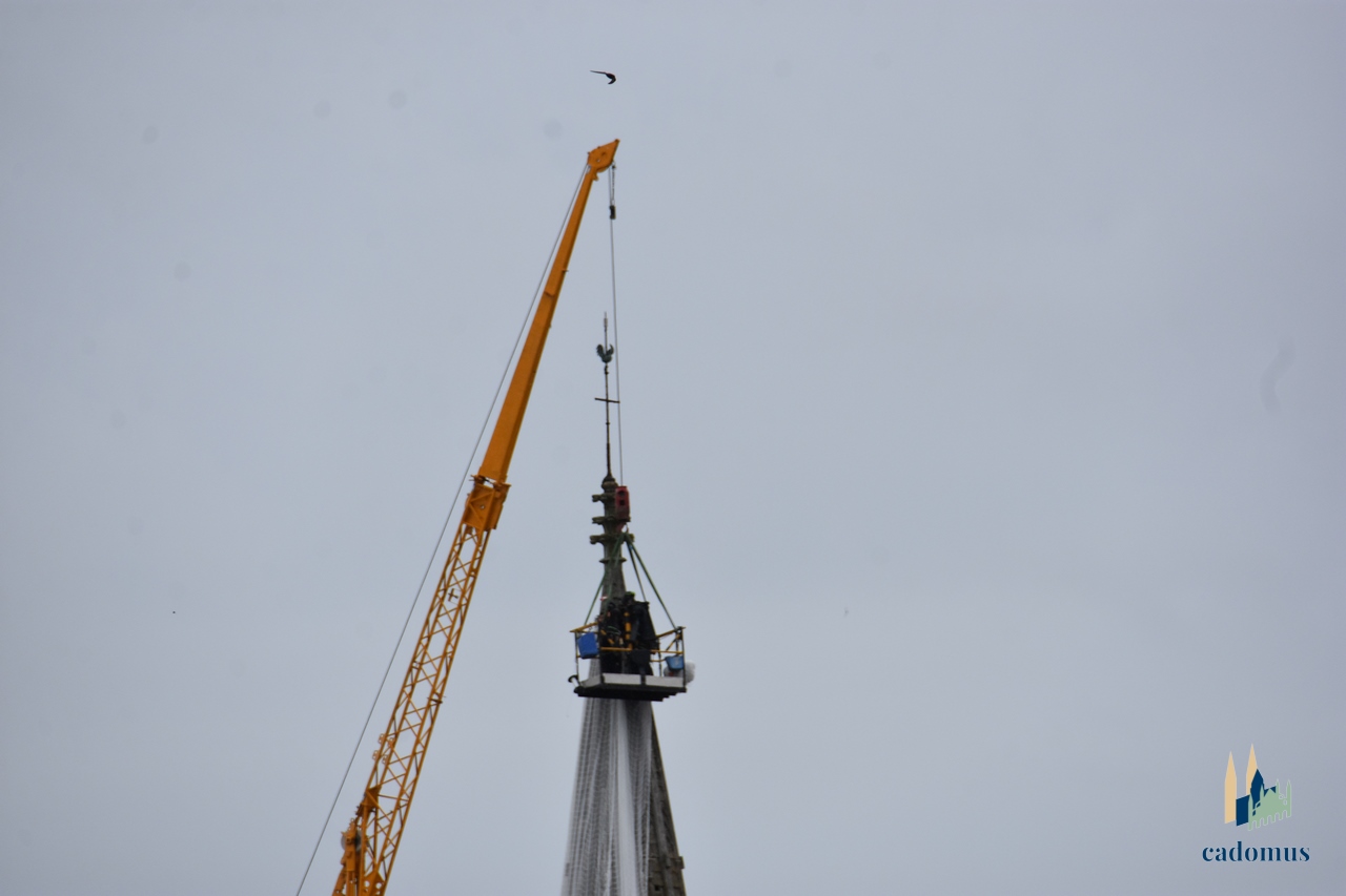 2024-07-08 004.JPG