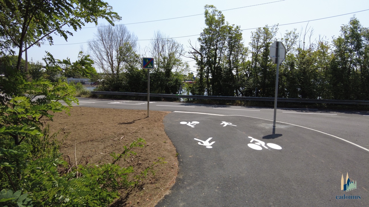 2024-07-30 001.JPG