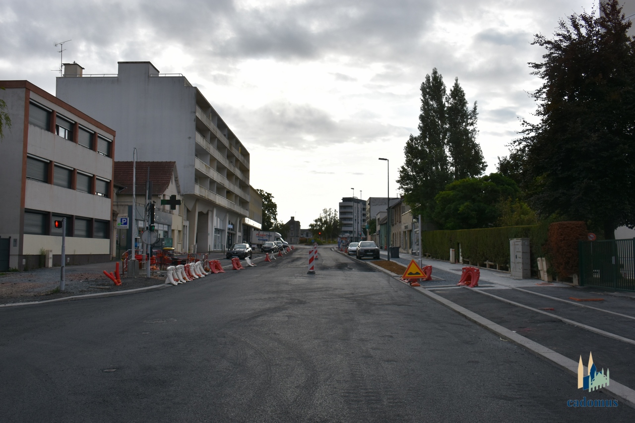 2024-08-03 005.JPG