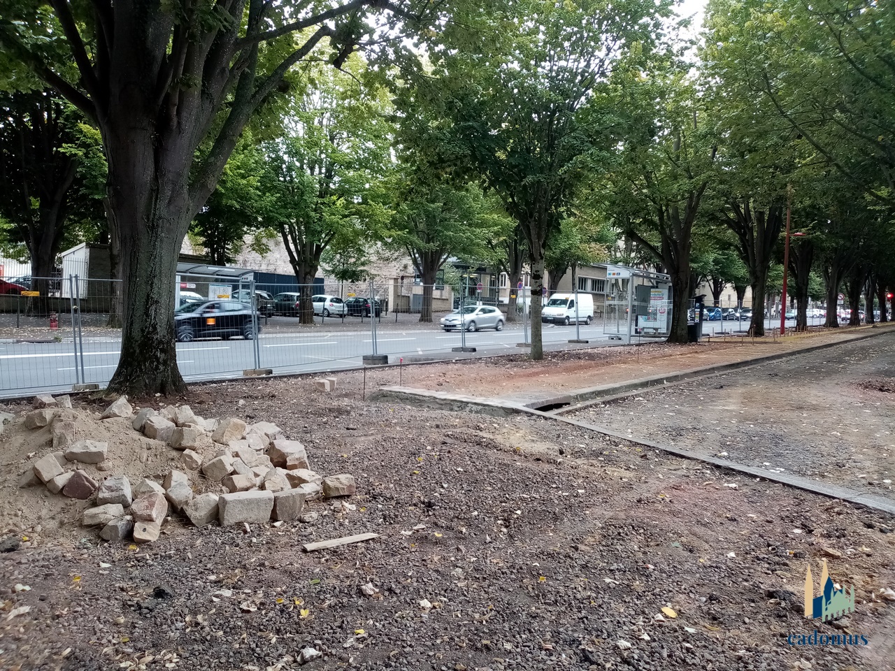 2024-09-02 004.jpg
