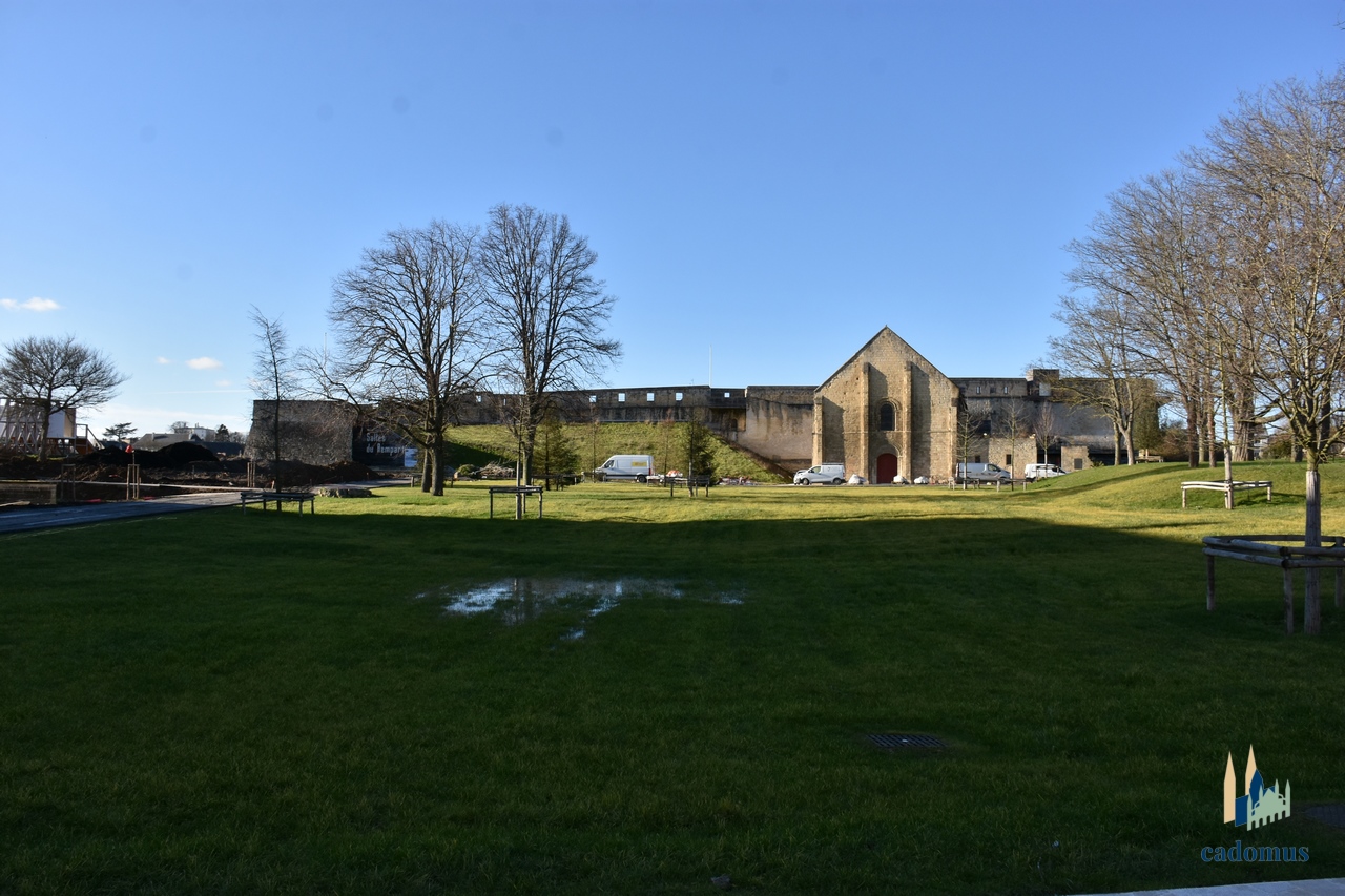 2025-01-30 049.JPG
