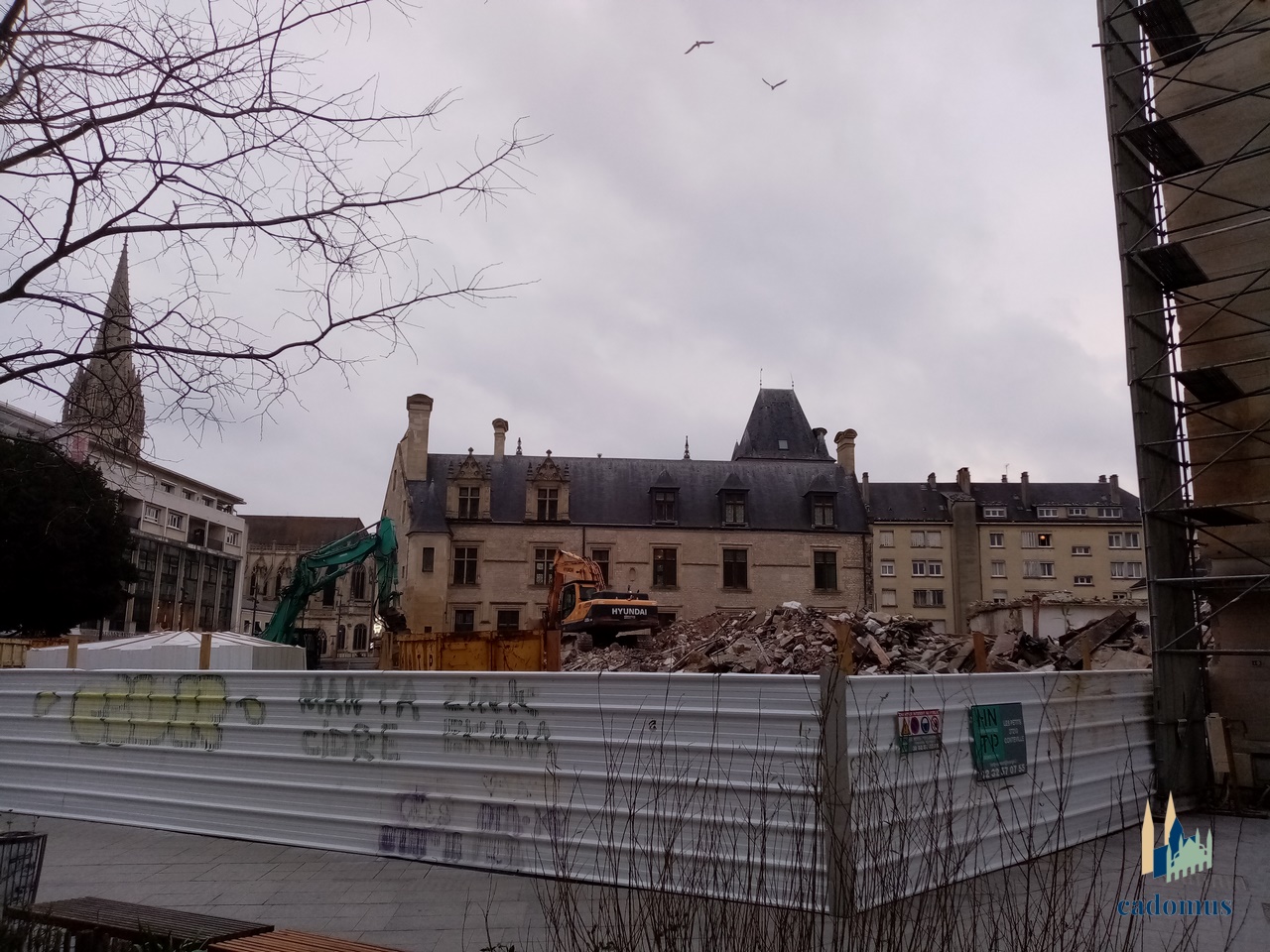 2025-02-07 004.jpg