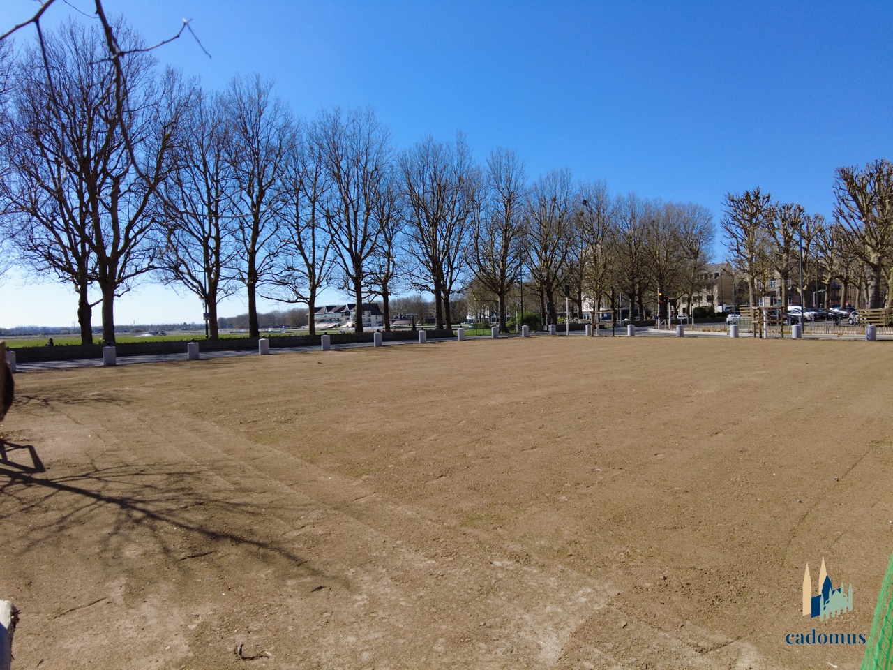 2025-04-01 019.JPG